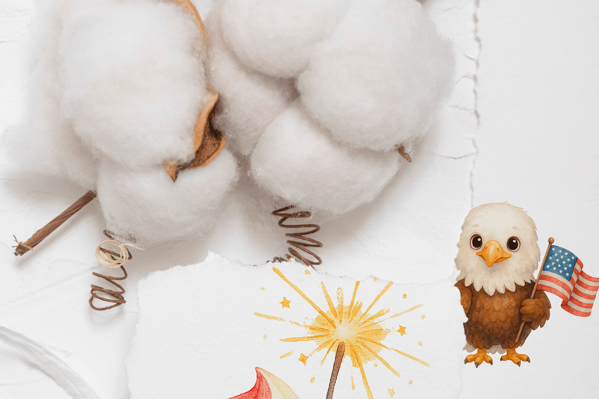 20 4th of July Clipart, a Decorative Illustration by Pati Charm Studio (Photo 8 of 8)