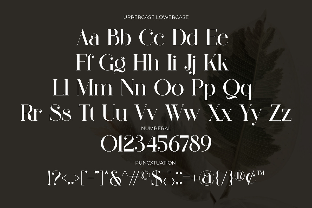 Braliga Elegant Ligature Serif, a Serif Font by Alfinart (Photo 10 of 11)