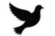 Bird Silhouette design bundle, an Illustration by Creativeshirt (Thumbnail 8 of 11)