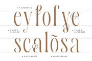 Asiafest - A Unique & Stylish Serif, a Serif Font by Typia Nesia (Thumbnail 6 of 12)