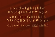 Nauget Elegant Serif Font, a Serif Font by Graphicxell (Thumbnail 7 of 8)