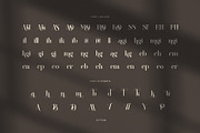 Blittenk Luxury Serif Font, a Serif Font by Perfectype (Thumbnail 8 of 8)