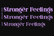 Stronger Feelings Font, a Serif Font by 177Studio (Thumbnail 7 of 9)
