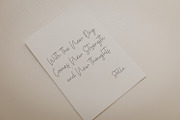 Bethan White - Monoline Script Font, a Script Font by StringLabs (Thumbnail 4 of 14)
