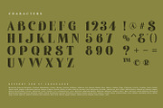 Moirt, a Serif Font by Nathatype (Thumbnail 7 of 11)