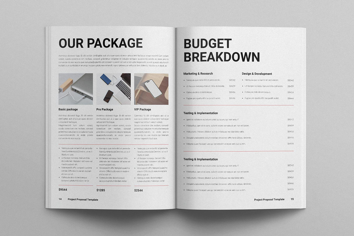 Project Proposal Template, a Brochure Template by E-Type (Photo 6 of 8)