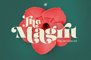 Magrit - Vintage Retro display Serif, a Sans Serif Font by creativemedialab (Thumbnail 1 of 14)