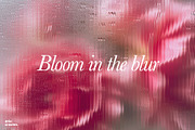 Fluted Bloom - Background Set, a Background Graphic by Nenjo Studio (Thumbnail 7 of 8)