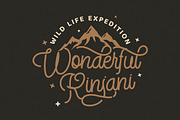 StringLabs - Monoline Retro Font, a Script Font by StringLabs (Thumbnail 2 of 11)