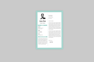 Professional Resume Designer