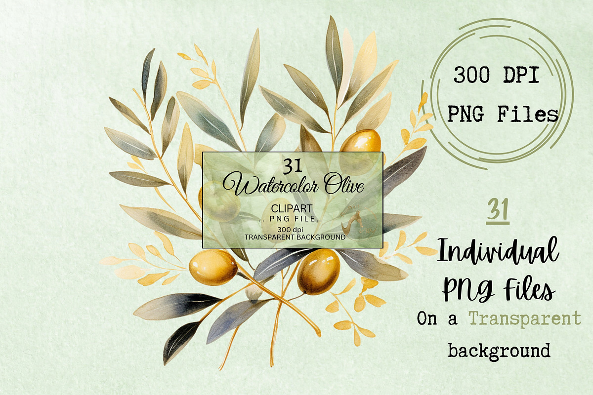 Watercolor Olive Clipart, an Illustration by NiiiNArt (Photo 2 of 7)