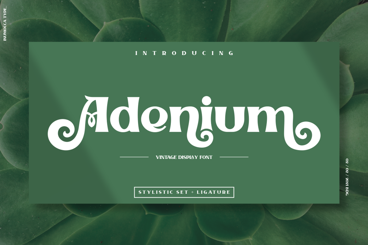 Adenium, a Serif Font by inumocca_type (Photo 1 of 11)