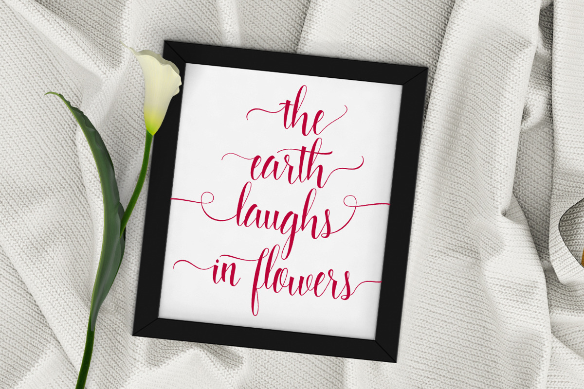 Starlight Script, a Script Font by Stripes Studio (Photo 2 of 8)