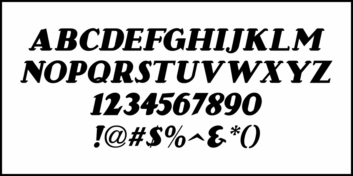 Maybrook JNL, a Font by Jeff Levine Fonts (Photo 5 of 5)