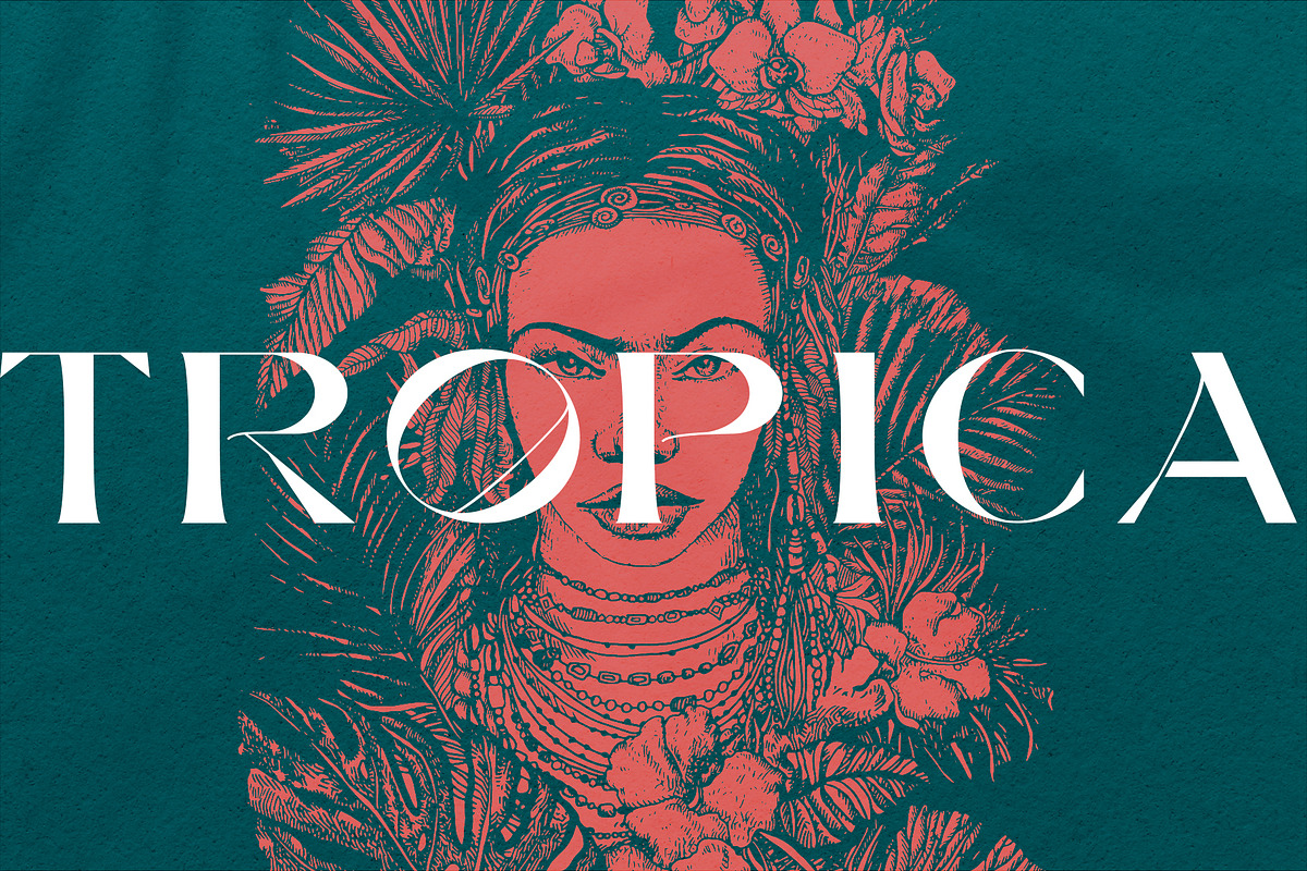 Tropica Collection, a Seasonal Illustration by Michael Rayback Design (Photo 15 of 15)