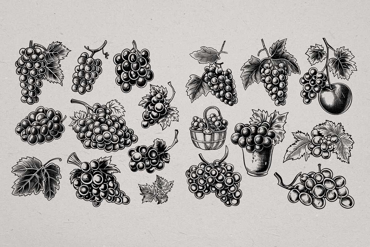 Hand Drawn Wine Vector Set, a Food Illustration by Alternate Studio (Photo 5 of 10)