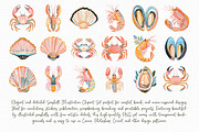 Seashell Illustration Clipart Set, an Illustration by Libby Wishes (Thumbnail 8 of 8)