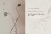 Diaphane - Blurry Floral Backgrounds, a Background Graphic by alonahaidash (Thumbnail 5 of 16)