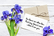 Olesna - Sans Serif Font, a Sans Serif Font by Astarte_design (Thumbnail 2 of 6)