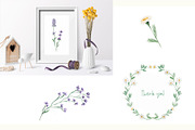 Watercolor Wildflowers Collection, a Decorative Illustration by MayaNavits (Thumbnail 14 of 14)