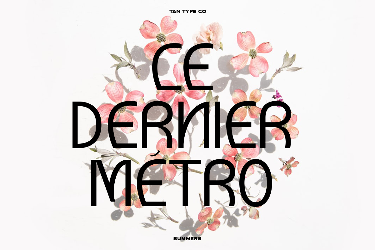 TAN - SUMMERS, a Sans Serif Font by TanType (Photo 7 of 10)