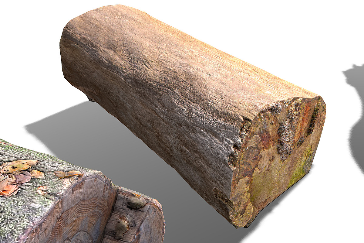 13 Tree Logs, an Environmental 3D Model by Beatheart Creative Studio (Photo 33 of 37)