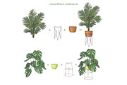Indoor Plants VECTOR illustrations, a Seasonal Illustration by Natalka Dmitrova art (Thumbnail 16 of 16)