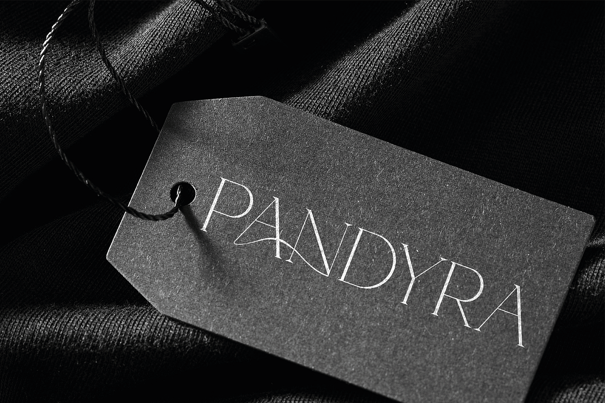 Pandyra - Delicate Luxury Serif, a Serif Font by HipFonts (Photo 8 of 12)