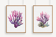 Watercolor Coral Clipart, an Illustration by Libby Wishes (Thumbnail 3 of 5)