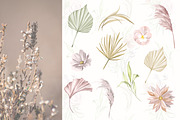Boho Tropical Floral, a Decorative Illustration by Rachel Art Studio (Thumbnail 5 of 9)