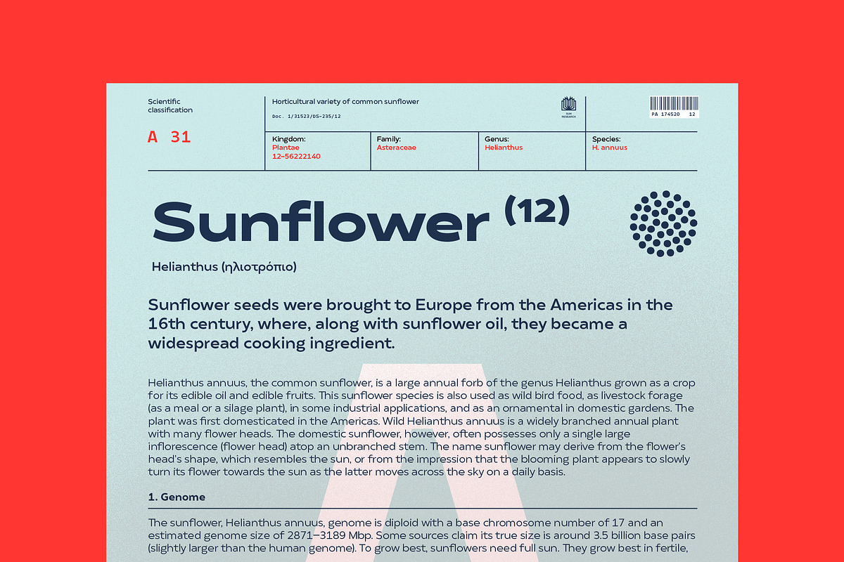 Matahari Sans - Font Family, a Sans Serif Font by Sundance Tipografia (Photo 10 of 22)