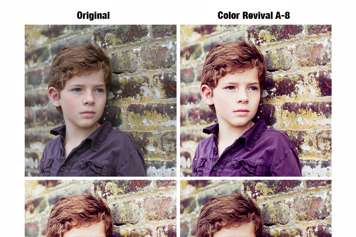 Color Revival Lightroom Presets, an Action Add-On by Naybella (Photo 5 of 5)