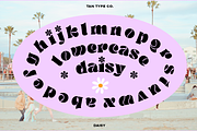 TAN - DAISY, a Serif Font by TanType (Thumbnail 9 of 14)