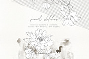 Pencil Sketched Fine Line Flowers Cl, an Illustration by Patishop Art (Thumbnail 8 of 9)