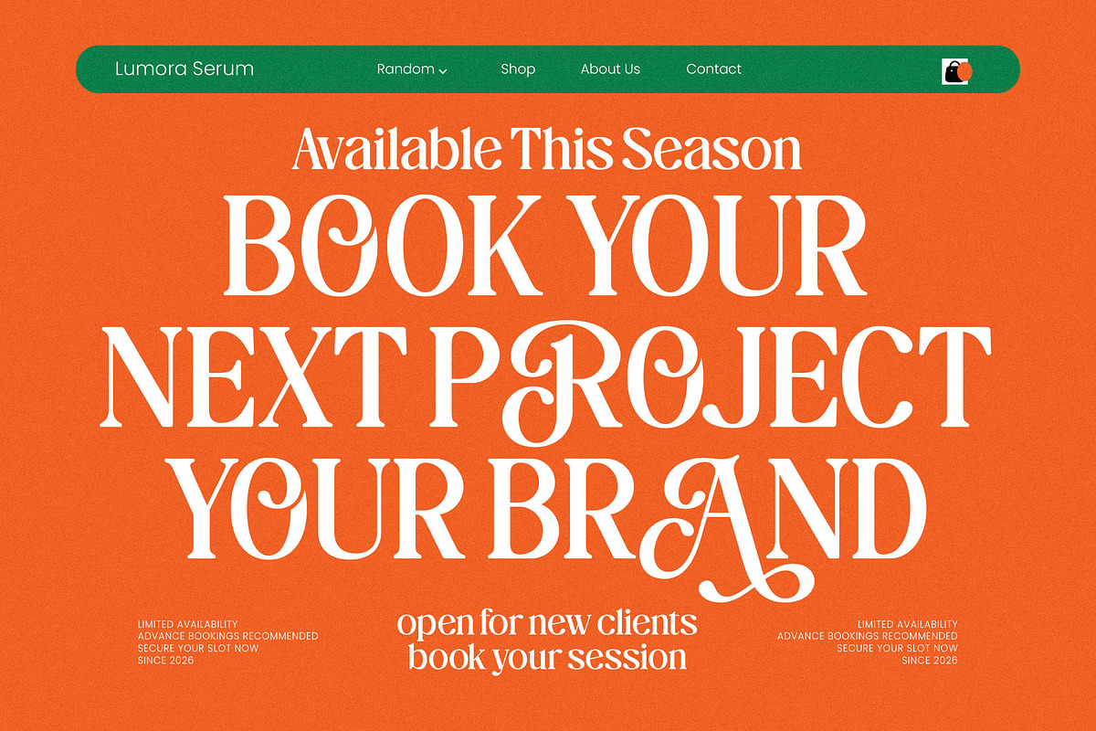The Daily Midtones Decorative Serif, a Serif Font by AmorfaType (Photo 6 of 8)