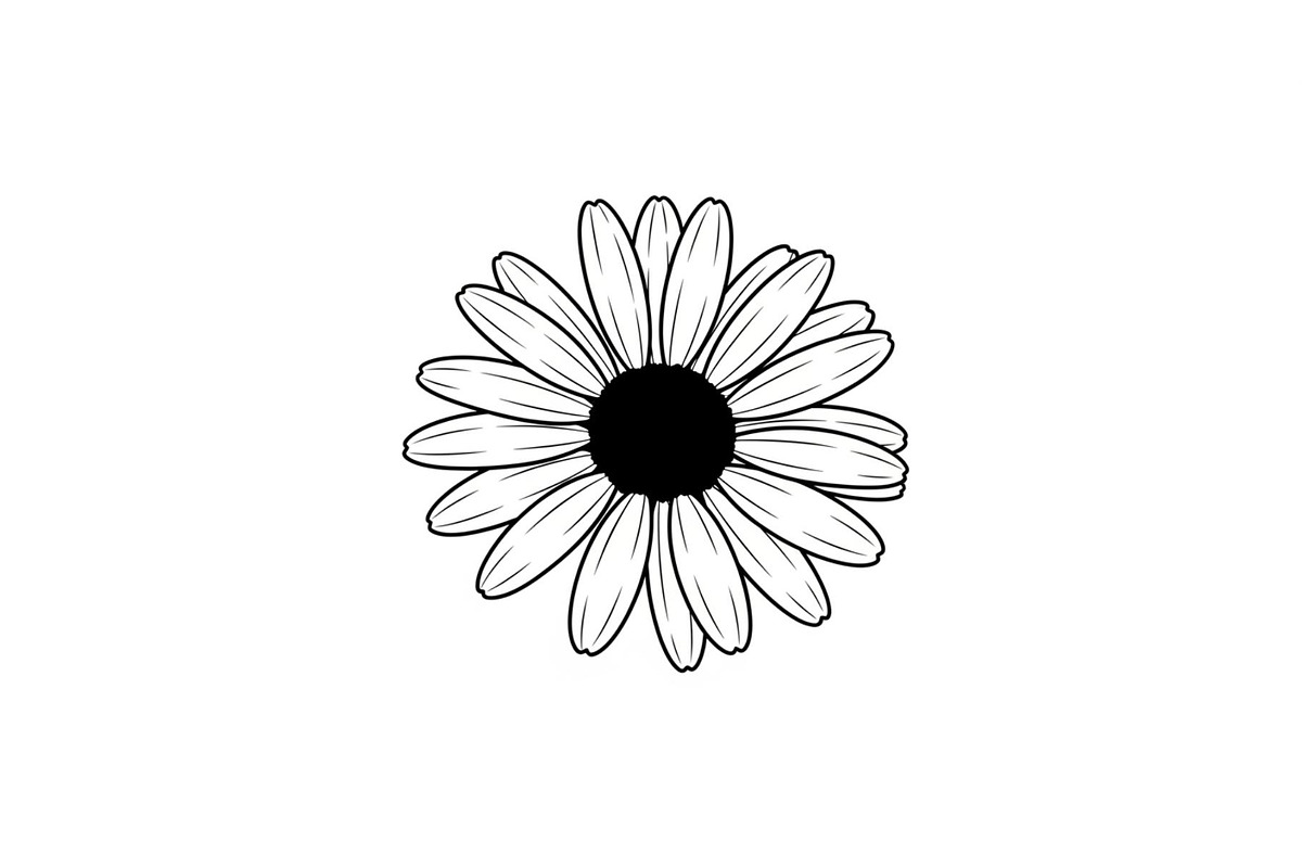 Daisy Flower Line Art Vector Bundle0, an Illustration by jahid234 (Photo 6 of 51)