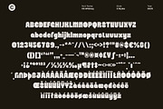 CS Whitney – Chunky Display Font, a Sans Serif Font by Craft Supply Co. (Thumbnail 8 of 8)