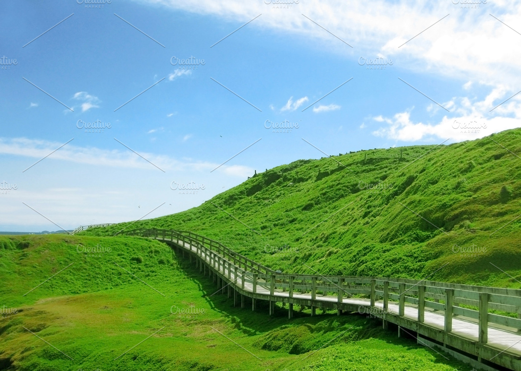 Wooden Path At Green Hill