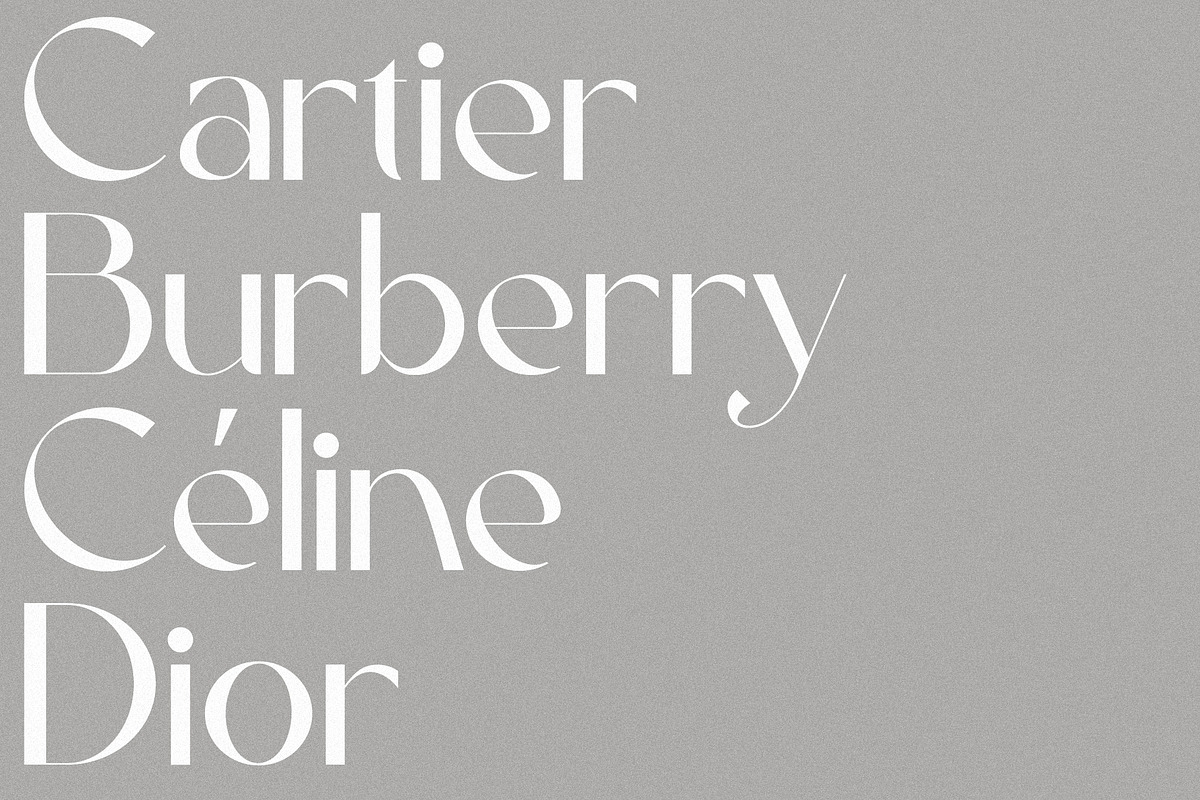 Sienne - Elegant Display Sans Serif, a Sans Serif Font by spectertype (Photo 2 of 8)