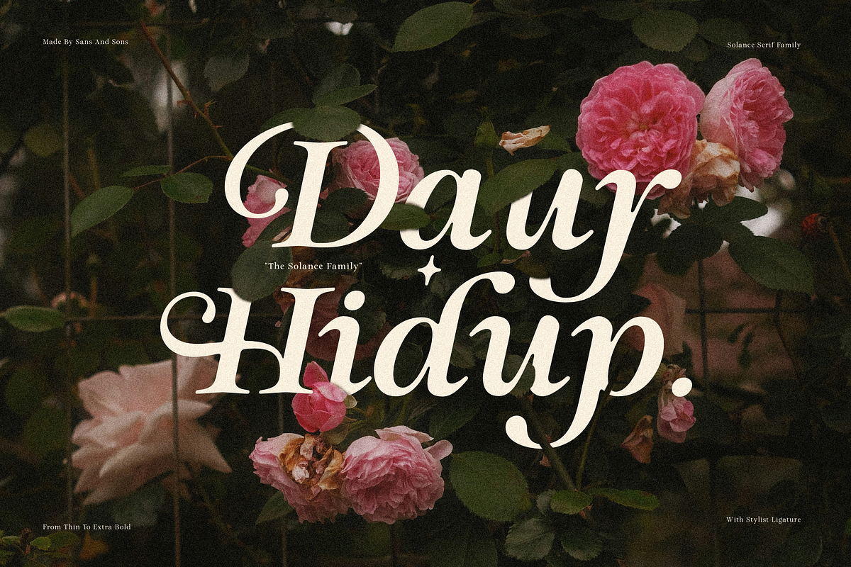 Solance Italic Family, a Serif Font by Sans & Sons (Photo 4 of 10)