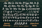 Special Editorial, a Script Font by Letter Fresh (Thumbnail 12 of 13)
