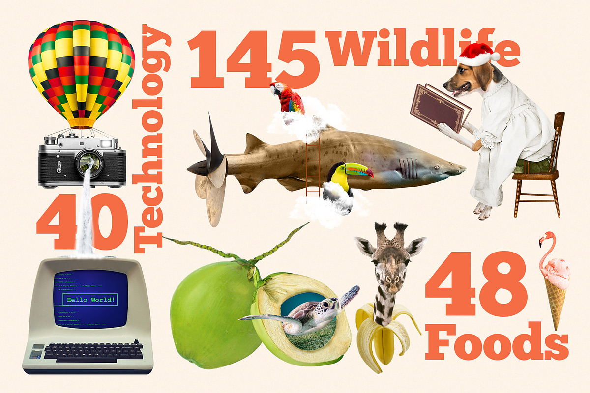 World's Best Collage Creator, an Animal Illustration by SNIPESCIENTIST (Photo 15 of 48)