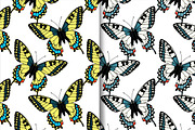 Butterflies patterns+illustrations, an Illustration by IreneArt illustrations (Thumbnail 3 of 5)