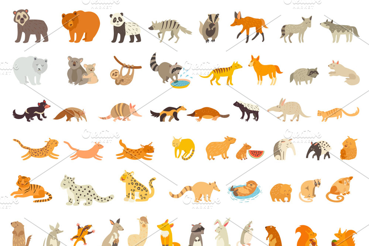 Mammals of the world, an Animal Illustration by Rimma