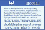 Already Know font, a Sans Serif Font by weknow (Thumbnail 5 of 8)