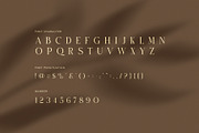 Caner Elegant Ligature Serif Font, a Serif Font by Perfectype (Thumbnail 7 of 8)