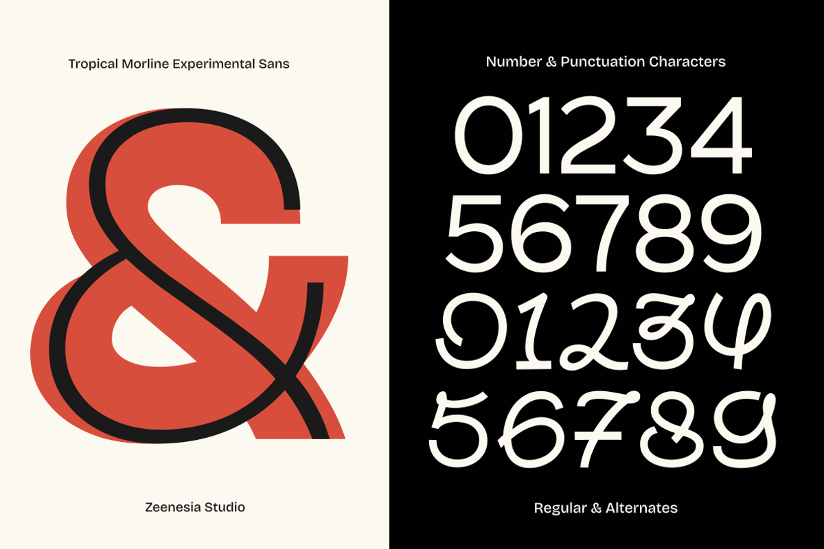 Tropical Morline, a Sans Serif Font by zeenesia (Photo 13 of 14)