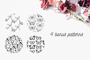 Butterfly | Vector illustrations, an Object Illustration by Wander Designs (Thumbnail 7 of 7)