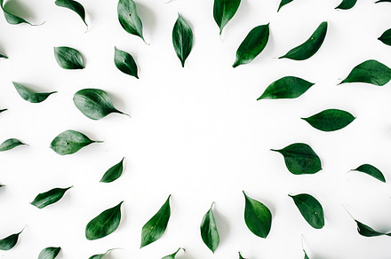 Leaf frame featuring flat, lay, and top, an Arts & Entertainment Photo by Floral Deco