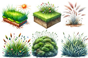 Watercolor Grass clipart, an Illustration by Designworld (Thumbnail 4 of 6)